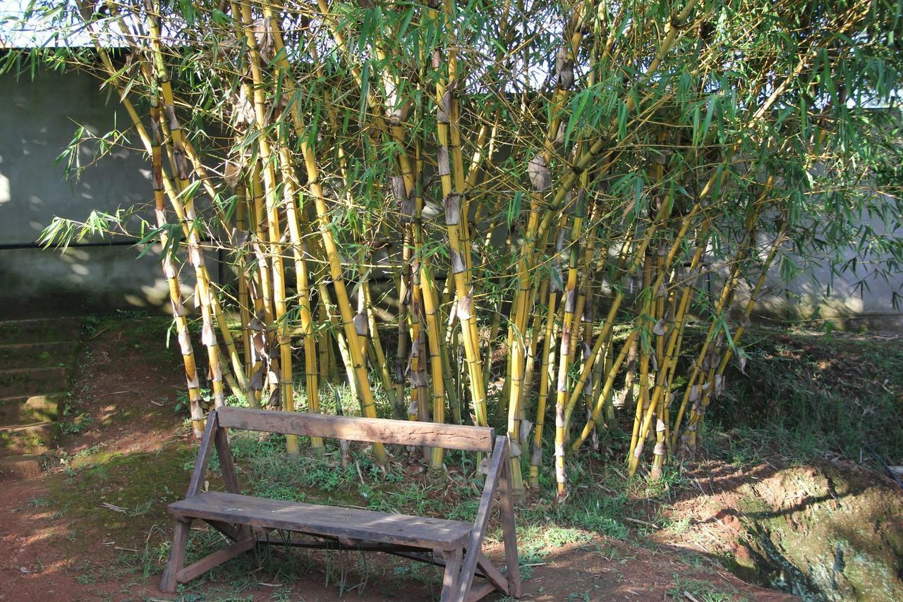 Masaka Banda Lodge מראה חיצוני תמונה
